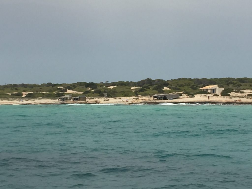 migjorn