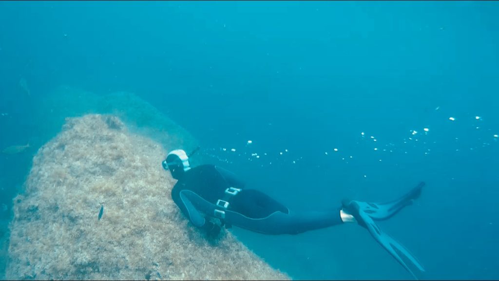 SNORKEL EN ILLES MEDES SNORKEL EN ILLES MEDES