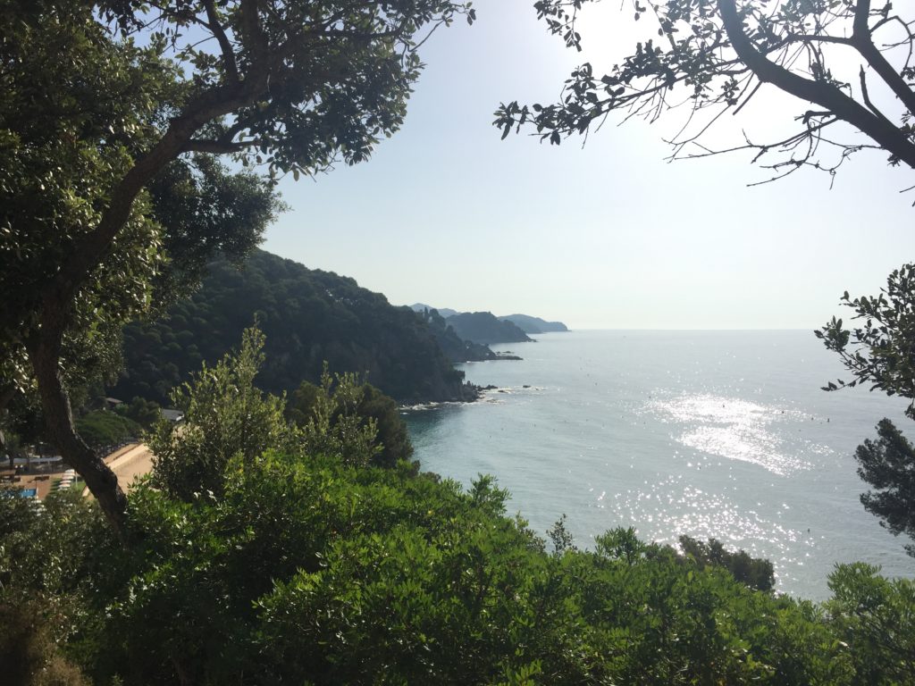 MAR Y MONTAÑA MAR Y MONTAÑA