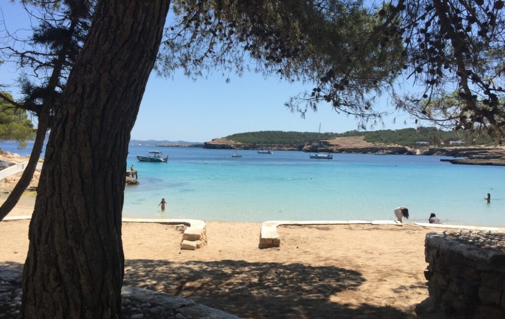 Cala Bassa Ibiza desde tierra